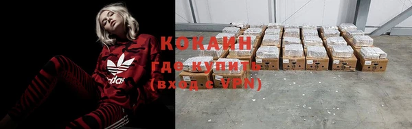 гидра Заводоуковск