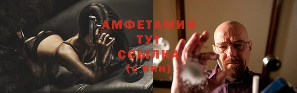 гидра Заводоуковск